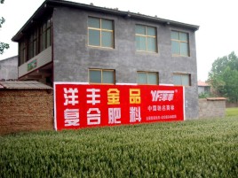 平江如何让墙体广告展现最大化效果