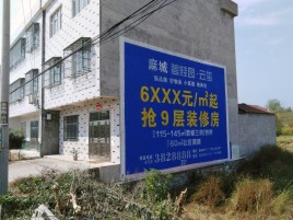 平江墙体广告质量分析