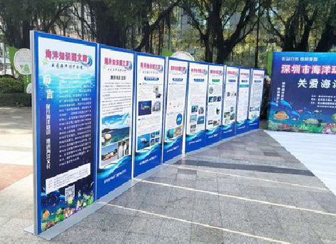 平江KT板的种类和知识。